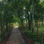 Escape to Your Own 3.4-Hectare Paradise in Magallanes, Cavite