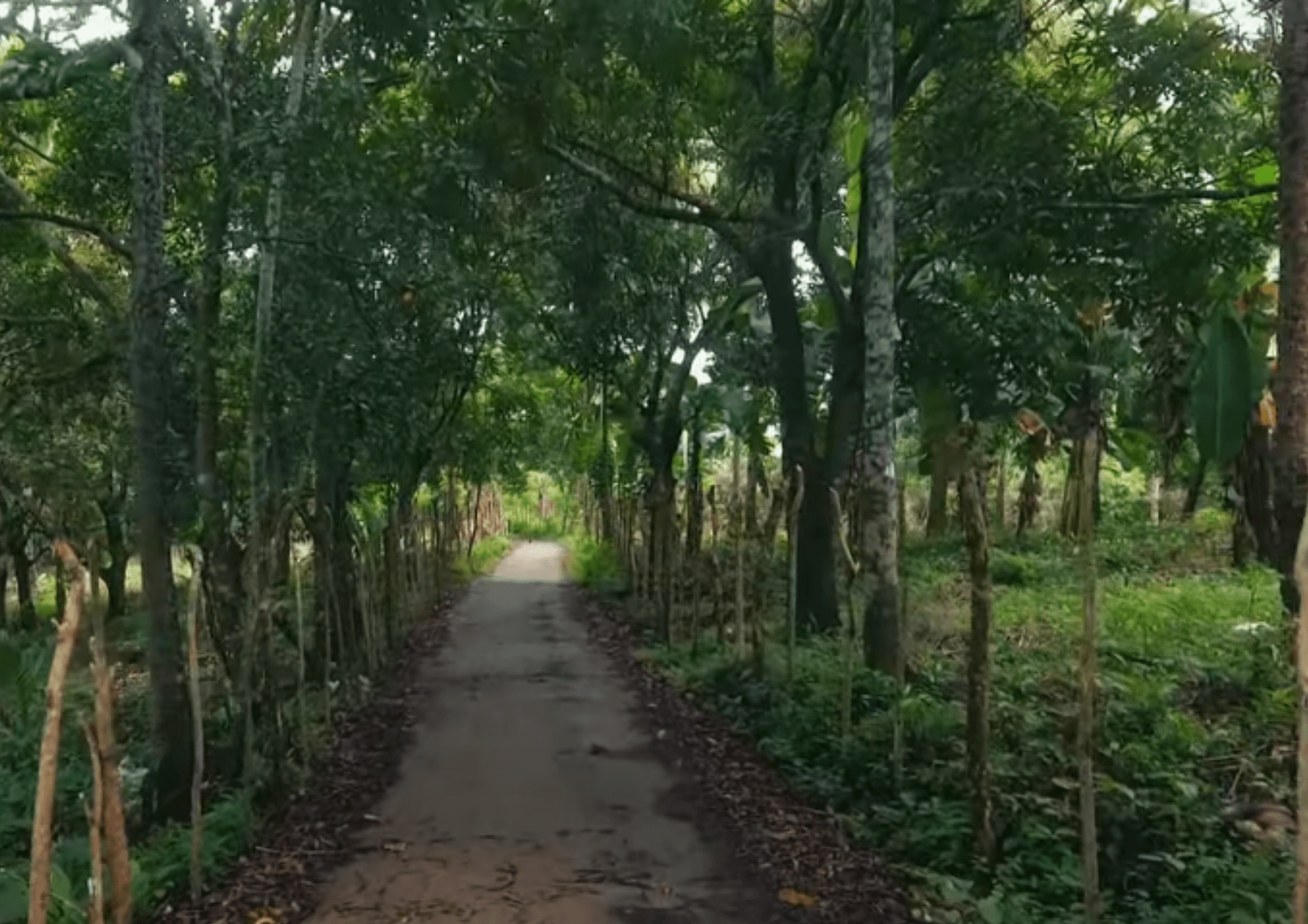 Escape to Your Own 3.4-Hectare Paradise in Magallanes, Cavite