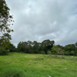 Prime Residential/Commercial Lot in Alfonso, Cavite