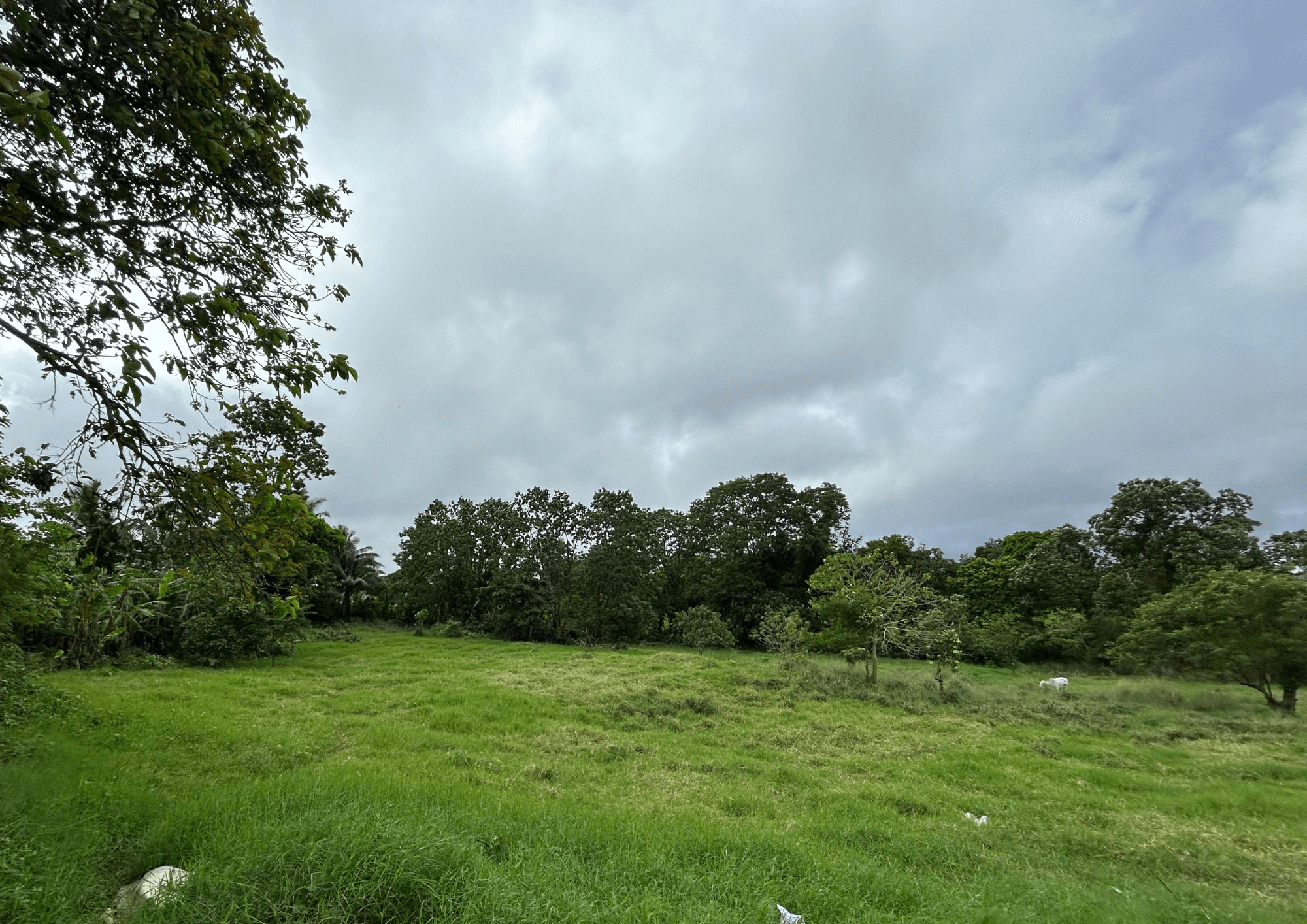 Prime Residential/Commercial Lot in Alfonso, Cavite