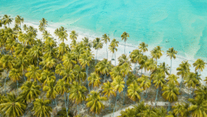 Raw Land vs Developed Beach Lot in the Philippines: Which Should You Invest In?