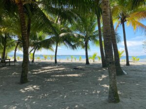 What Is Raw Beach Land?