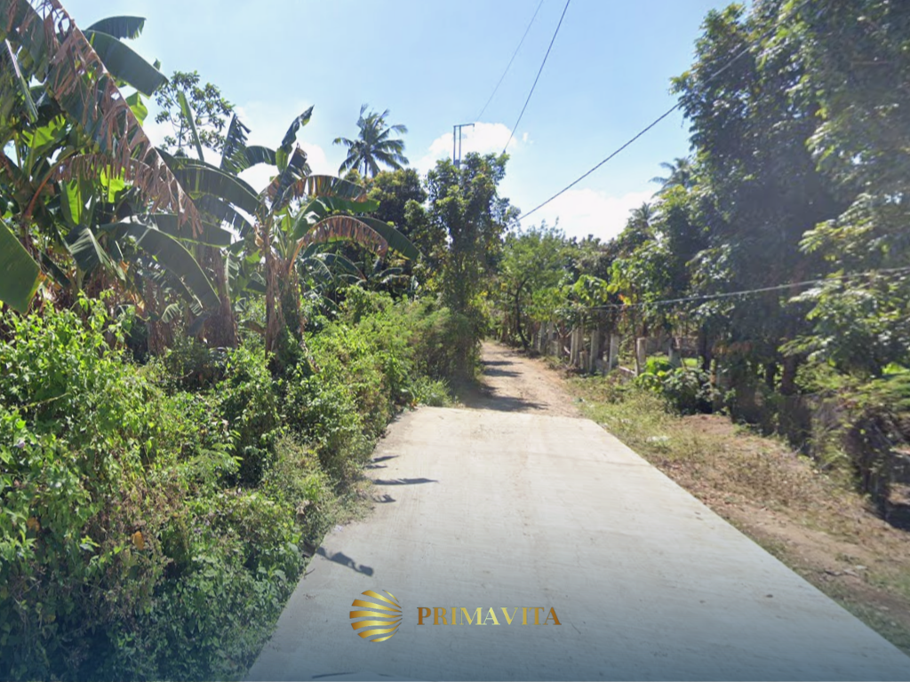 Farm Lot for Sale in Brgy. Bendita, Magallanes, Cavite