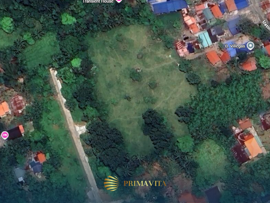 Farm Lot for Sale in Alfonso Cavite – 9,337 sqm