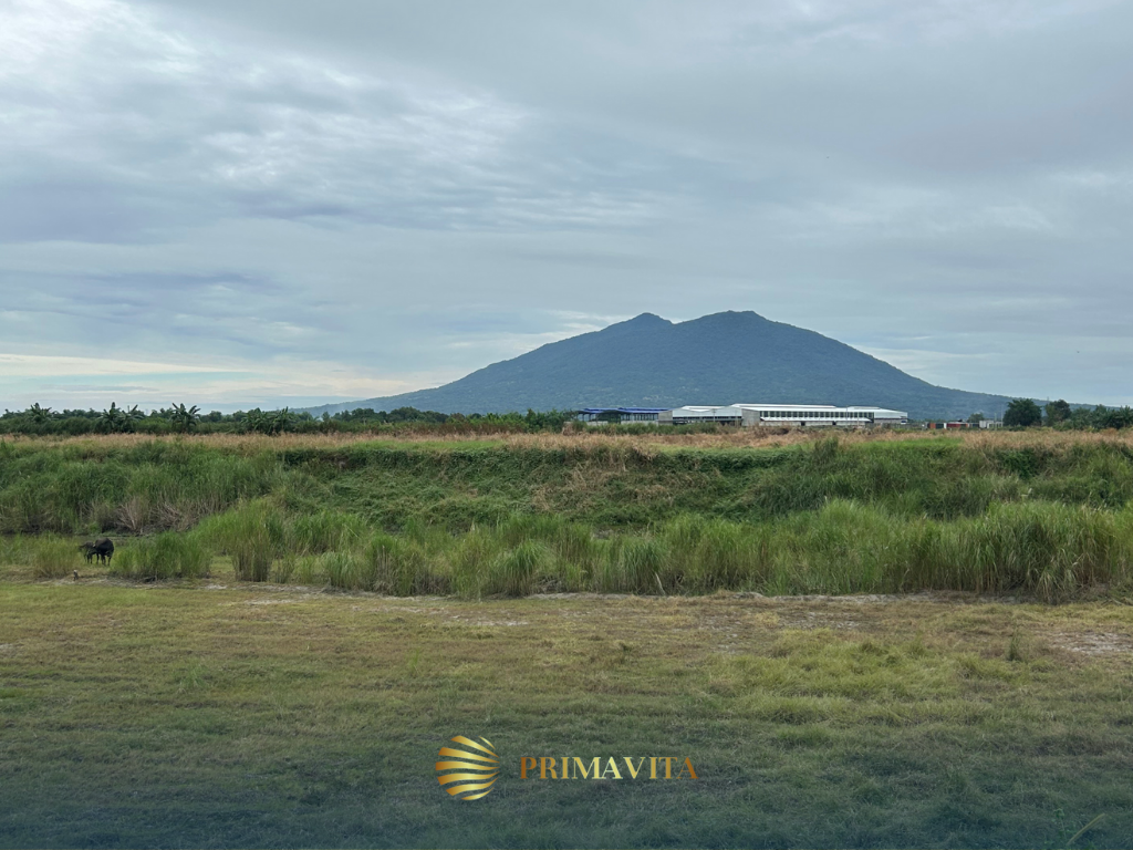 Raw Lot for Sale in Mexico Pampanga – 5.6 Hectares