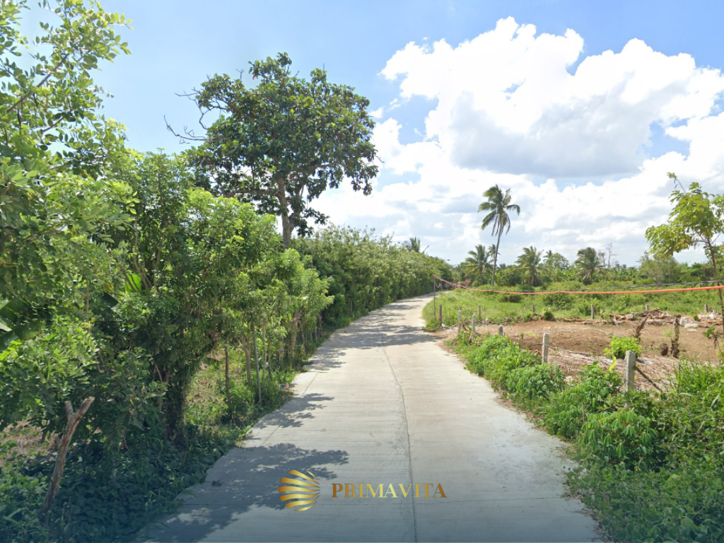 Farm Lot for Sale in Alfonso Cavite – 5,138 sqm