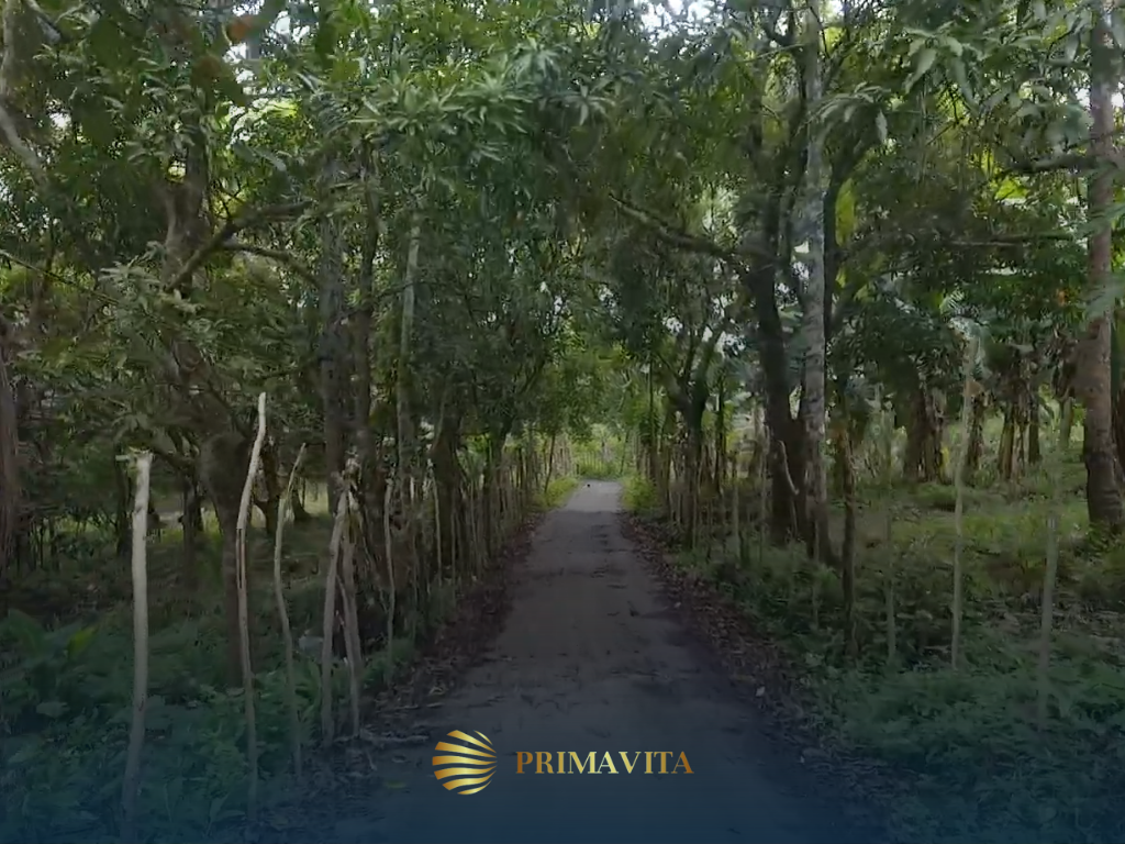 Farm Lot for Sale in Brgy. Bendita, Magallanes, Cavite