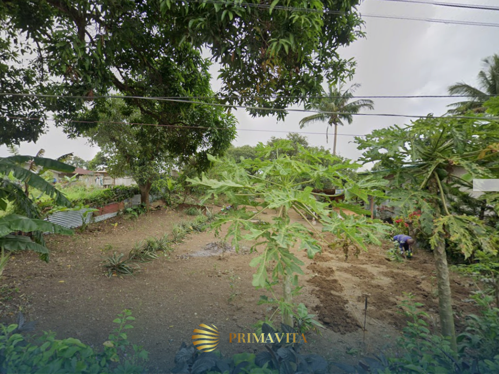Farm Lot for Sale in Alfonso Cavite – 9,337 sqm