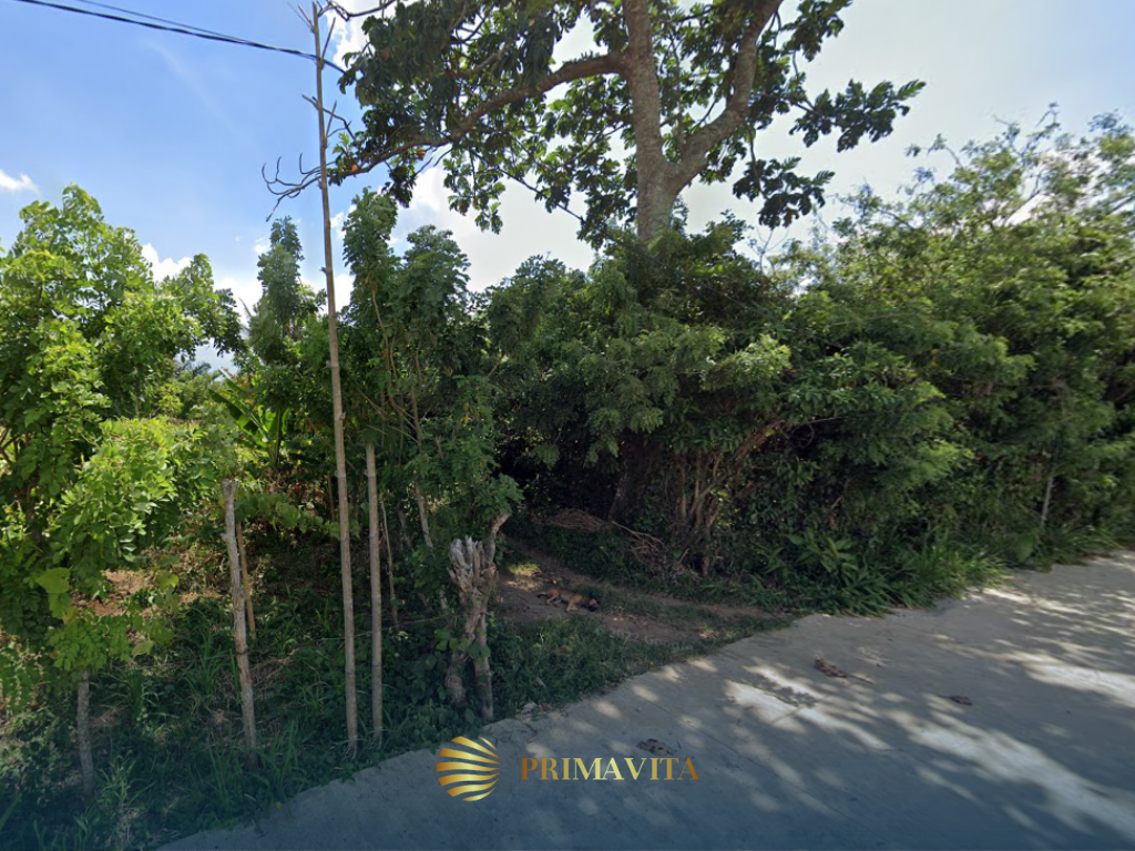 Farm Lot for Sale in Alfonso Cavite – 5,138 sqm