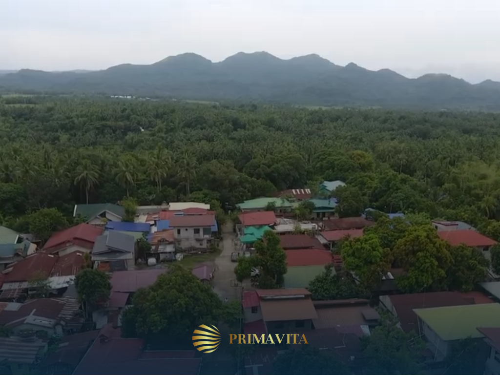 Farm Lot for Sale in Brgy. Bendita, Magallanes, Cavite