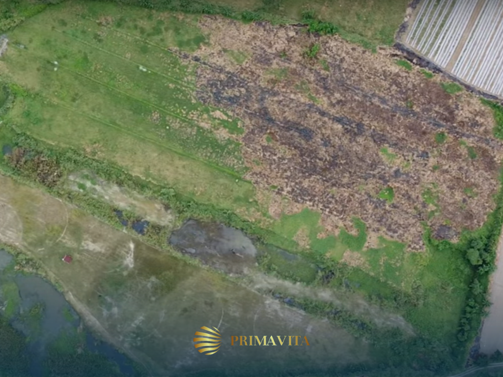 Raw Lot for Sale in Mexico Pampanga – 5.6 Hectares
