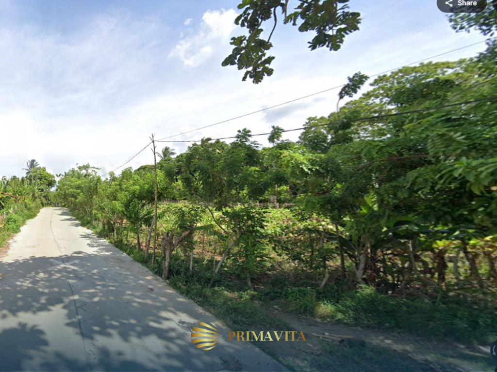 Farm Lot for Sale in Alfonso Cavite – 5,138 sqm