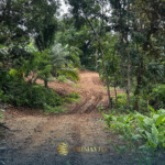 Farm Lot for Sale in Magallanes, Cavite
