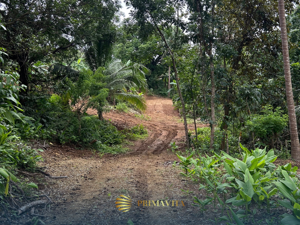 Farm Lot for Sale in Brgy. Bendita, Magallanes, Cavite