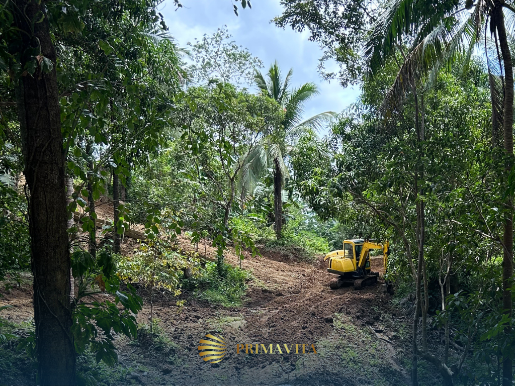 Farm Lot for Sale in Brgy. Bendita, Magallanes, Cavite