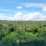Prime 9,337 sqm Farm Lot for Sale in Luksuhin, Alfonso, Cavite