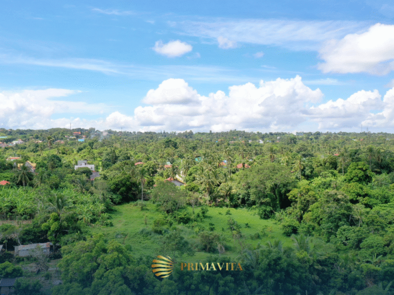 Farm Lot for Sale in Alfonso Alfonso Cavite – 9,337 sqm