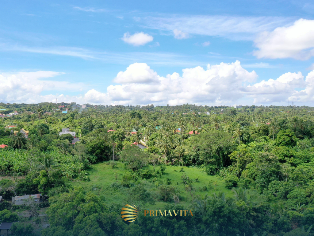Farm Lot for Sale in Alfonso Alfonso Cavite – 9,337 sqm