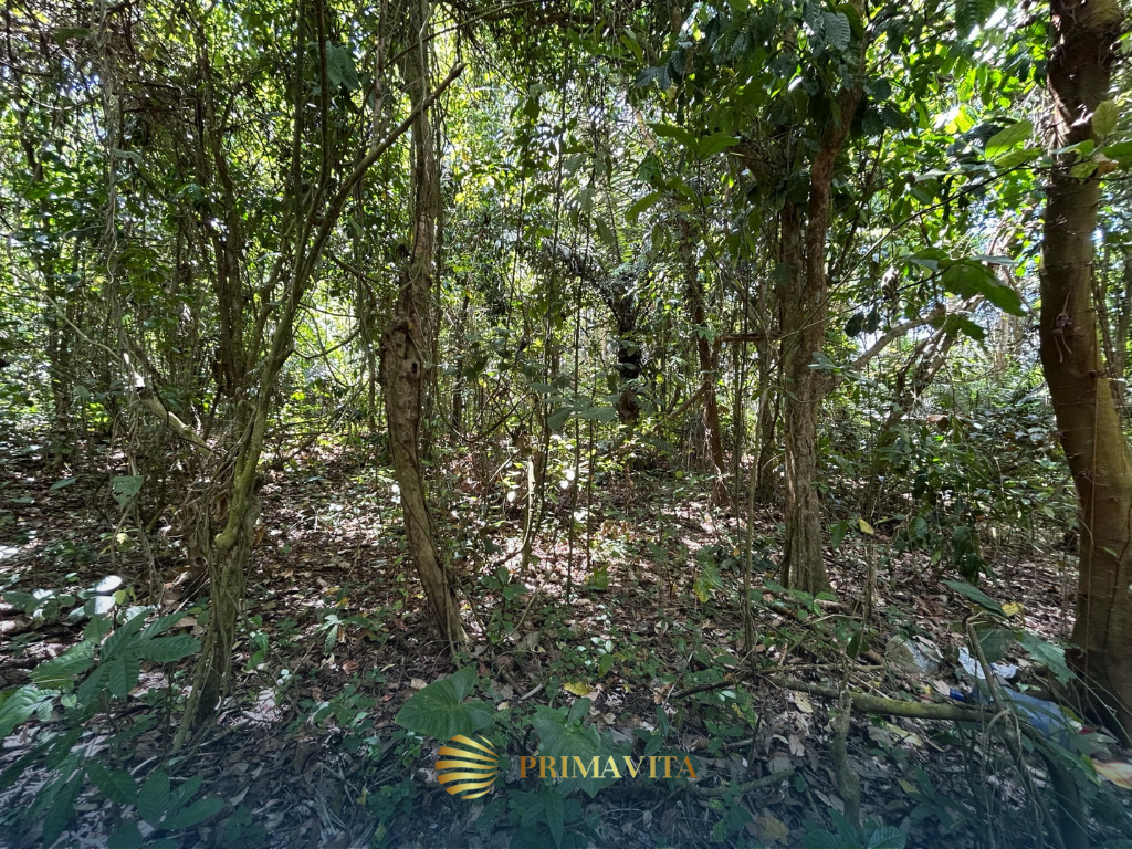 Farm Lot for Sale in Alfonso Cavite – 5,138 sqm