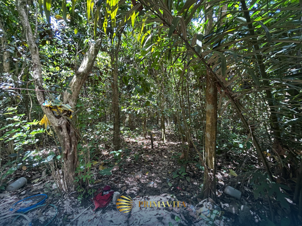 Farm Lot for Sale in Alfonso Cavite – 5,138 sqm