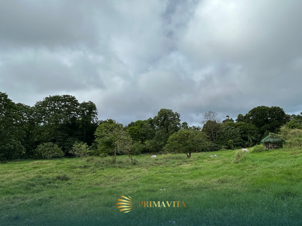 Farm Lot for Sale in Alfonso Cavite – 9,337 sqm