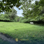 Farm Lot for Sale in Alfonso Cavite – 4,491 sqm