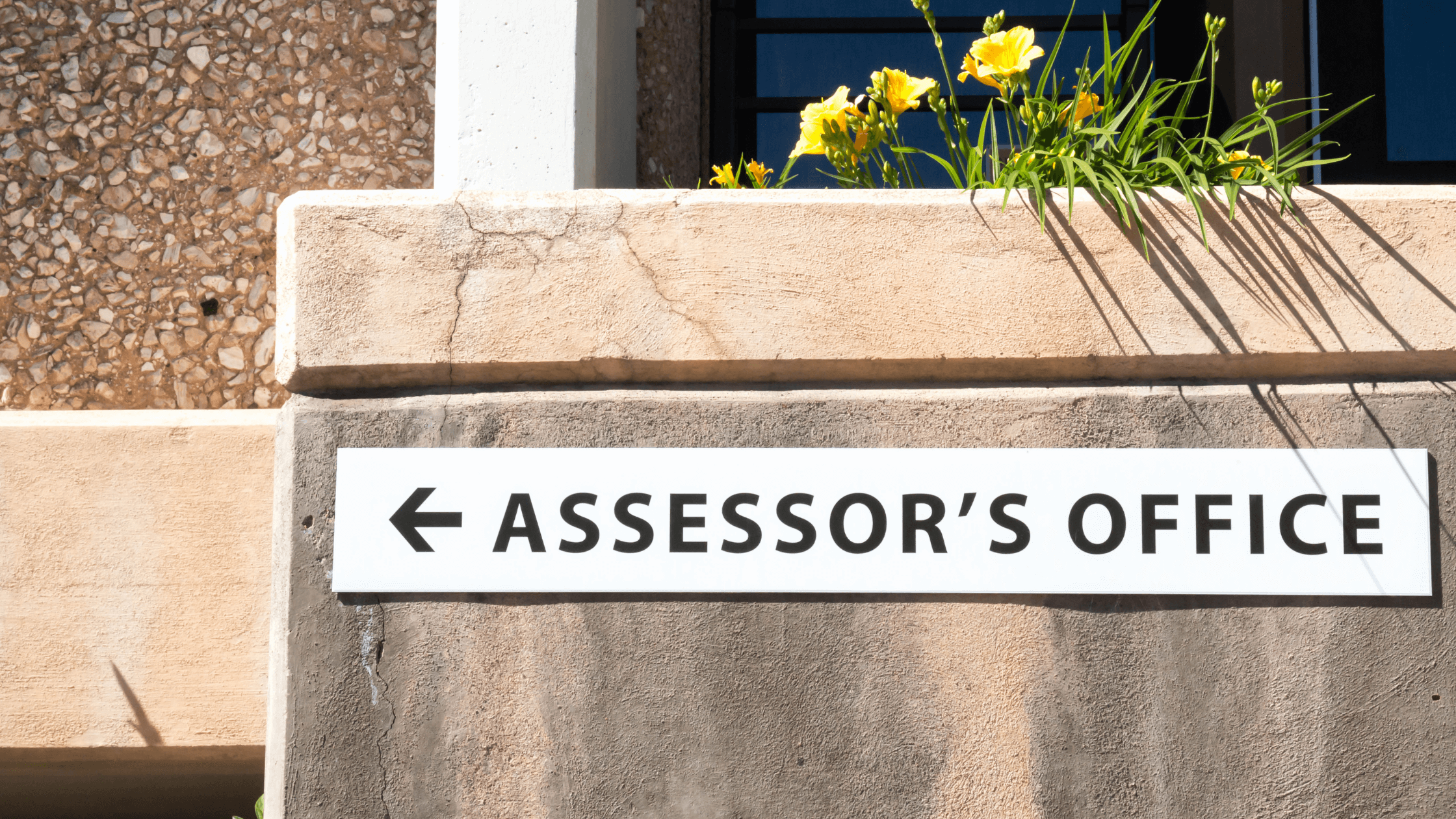 Step-by-step process of paying real property tax in the Philippines