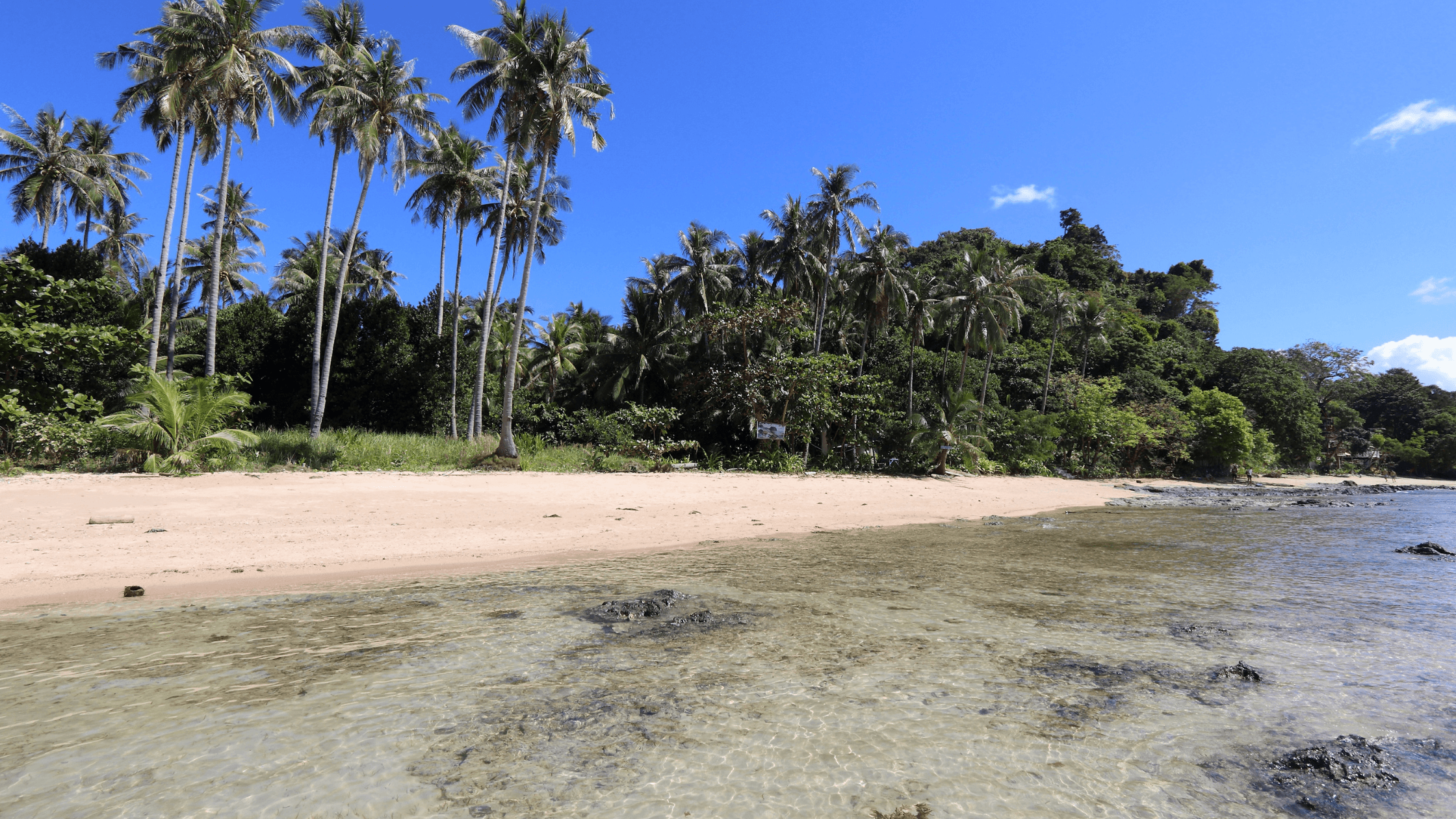 Undeveloped beachfront lot in Palawan, Philippines, ideal for OFW long-term property investment and future homeownership