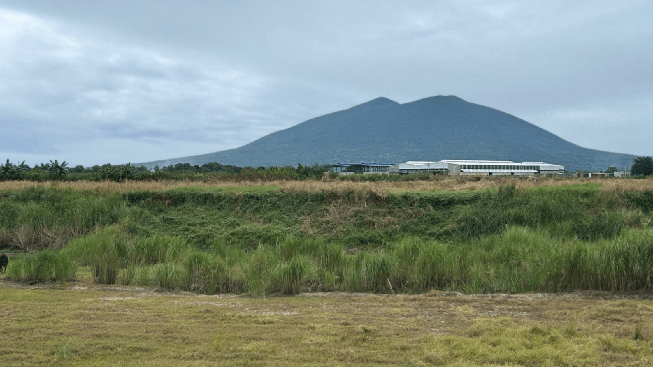 Open farmland with scenic mountain view in Pampanga, Philippines, ideal location for residential or agricultural land investment.
