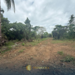 1000 SQM Farm Lot for Sale in Brgy. Isaub, Aborlan, Palawan