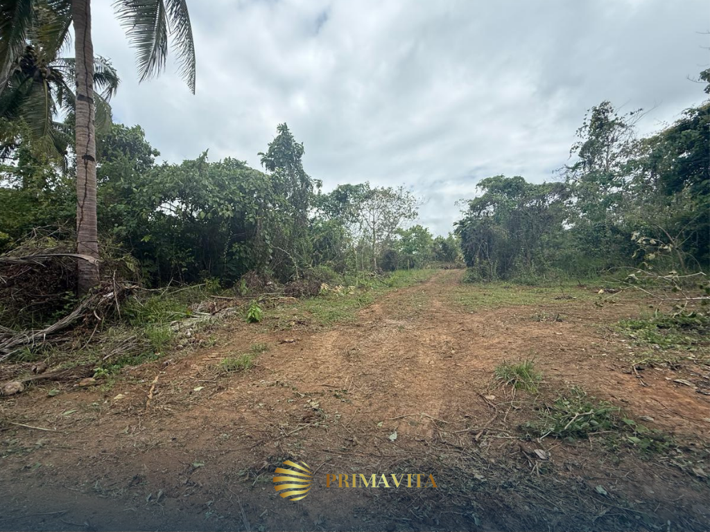 1000 SQM Farm Lot for Sale in Brgy. Isaub, Aborlan, Palawan