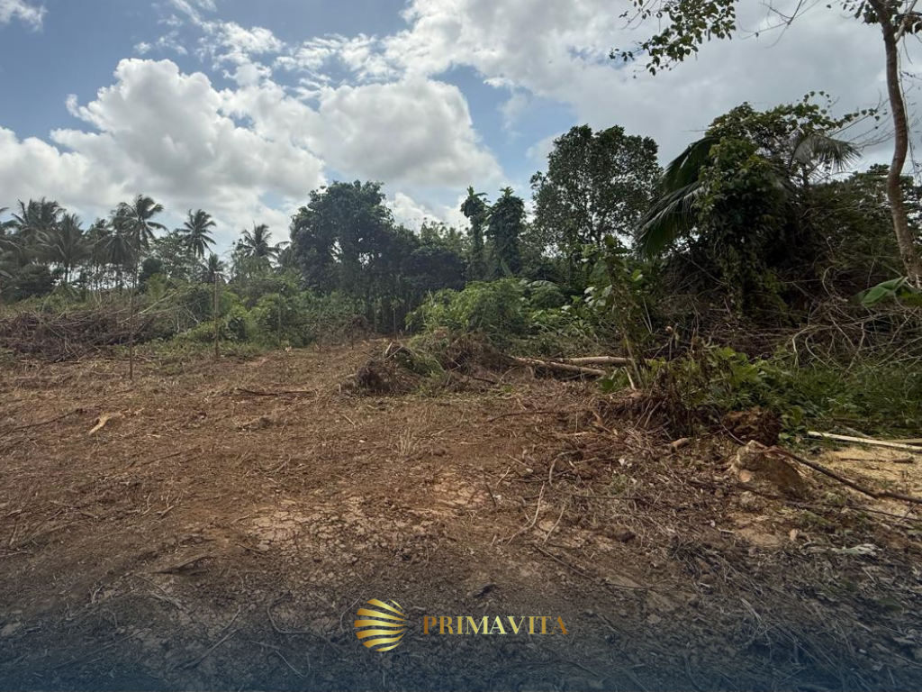 1,000 sqm Farm Lot for Sale in Brgy. Isaub, Aborlan,