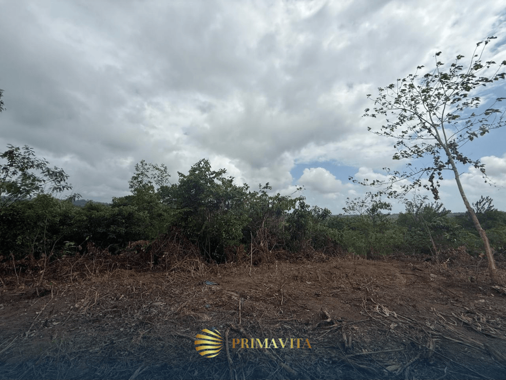 1,000 sqm Farm Lot for Sale in Brgy. Isaub, Aborlan,