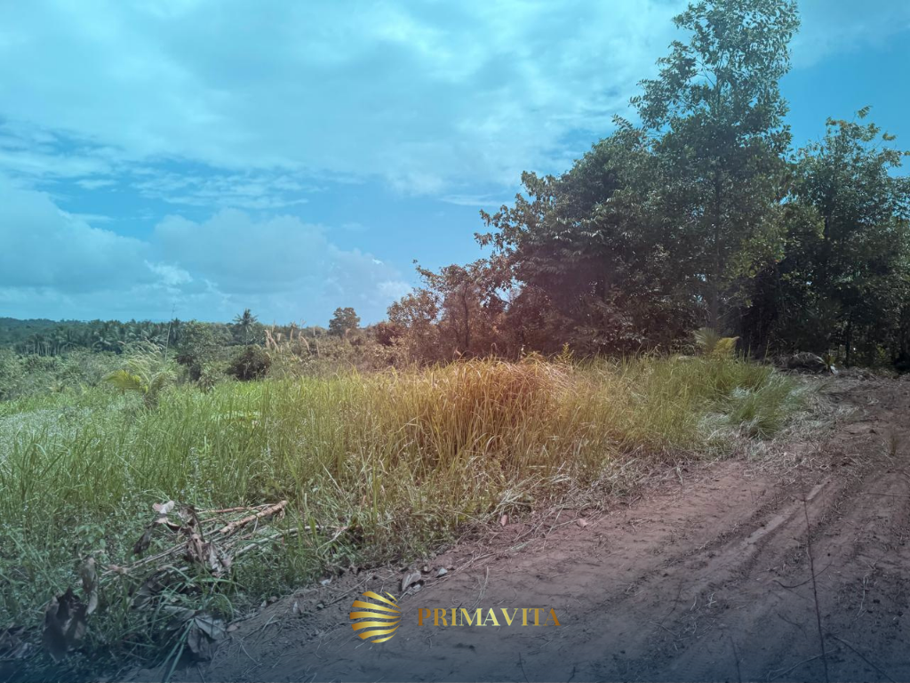 1,000 sqm Farm Lot for Sale in Brgy. Isaub, Aborlan,
