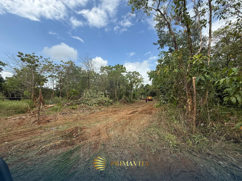 1,000 sqm Farm Lot for Sale in Brgy. Isaub, Aborlan,
