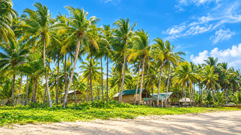 Farm Lot or Beach Lot in the Philippines Which One Actually Fits Your Plan