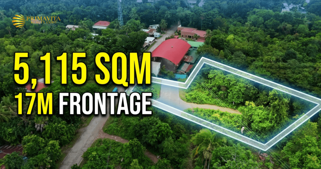 5,115 SQM Bohol Lot for Sale | 17M Provincial Road Frontage | Tangnan