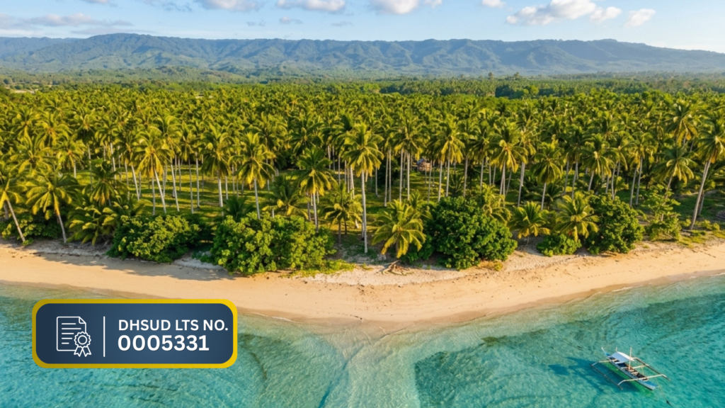 Aerial view of palm-lined beachfront at Sunset Shore, Aramaywan, Quezon, Palawan