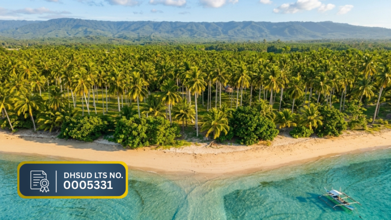 Aerial view of palm-lined beachfront at Sunset Shore, Aramaywan, Quezon, Palawan