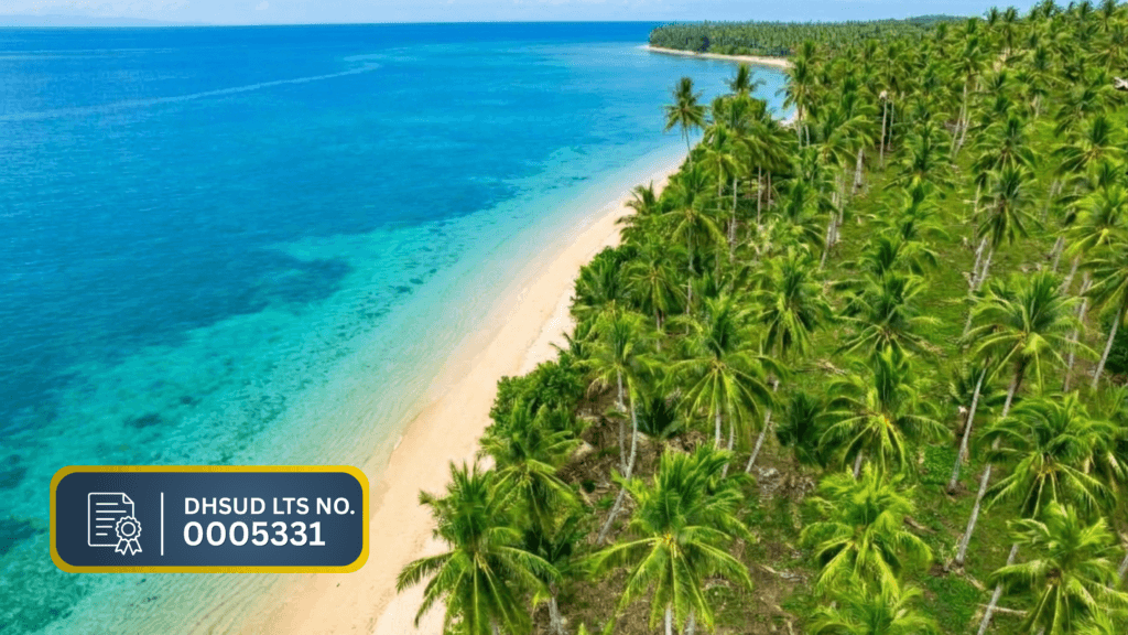Palm-lined beachfront and white sand at Sunset Shore, Aramaywan, Quezon, Palawan